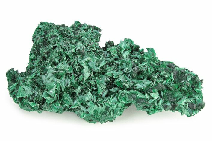 Silky, Fibrous Malachite Cluster - Congo #250618